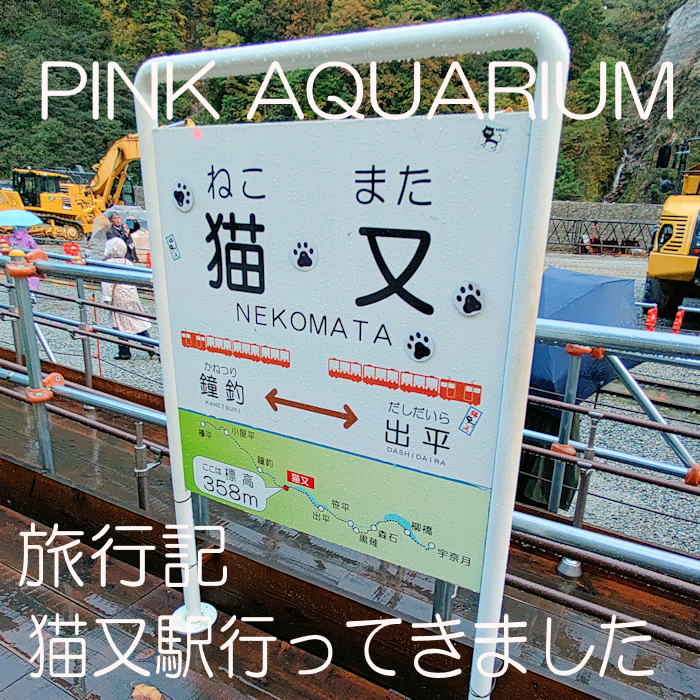 satohmomo1's tweet photo. 10/17(土)石川県穴水にて開催のコミポルト1in能登・穴水に旅行記サークルの方で申し込みました。 https://t.co/SEwvIU5ckg