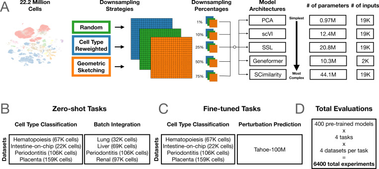 BoWang87's tweet photo. Let’s discuss the scaling law of virtual cells.

A Nature Methods paper (https://t.co/Sh4GYN0AK6) published yesterday is being interpreted by some as evidence that scaling laws do not hold for virtual cells. I read it in detail, and here are my 2 cents:

It is a useful benchmark, but not a direct test of scaling laws in causal single-cell foundation models or perturbation-native virtual cells.

The paper mainly studies PCA, scVI, Geneformer, and SCimilarity (which are relative small models) on observational atlas-style pretraining, with perturbation evaluation limited to a narrow Tahoe small-molecule/cancer-cell-line setting. These are important baselines on scFMs that focuses on learning cell embeddings, but they are not large-scale causal perturbation models (e.g, diffusion-based virtual cells, or other modern architectures designed natively for causal perturbation biology).

The metrics also matter. Cell-type F1 and batch-integration AvgBIO are reasonable atlas/embedding metrics, but they are also tasks that can saturate quickly. They are not direct measures of causal perturbation prediction, target ranking, rare differential-expression tails, OOD genetic perturbations, or generalization across biological contexts.

The “learning saturation point” in the paper is useful, but it is not really a scaling law. It asks: what is the smallest pretraining size that reaches within 95% of the best observed score on this benchmark? That is a helpful diagnostic, but it can be overinterpreted when the downstream task itself is saturated.

The perturbation result is, IMO, limited: a few selected Tahoe-100M small molecules across several cancer cell lines, evaluated with genewise R²/MSE. The paper itself reports that a “no-change” baseline beats fine-tuned models for most drugs, which says as much about the evaluation regime as about model scaling.

In fact, our scGPT work already showed three years ago that simply scaling the number of observational cells saturates quickly after a few million cells. So I agree with the warning: naive “more atlas cells = better virtual cell” is not enough.

But that is not the real scaling question.

In X-Cell, we study scaling across multiple axes: number of perturbation cells, number of biological contexts, perturbation diversity, and model parameters. On our Perturb-seq-scale data, we observe clear and encouraging scaling behavior. Similar trends are emerging from other perturbation-native virtual cell efforts as well.

The important question is not: can more atlas cells improve cell-type F1?  It is: with larger Perturb-seq datasets, larger models, better architectures, and harder OOD splits, can we predict causal cellular responses across genes, combinations, doses, cell states, and contexts?

For X-Cell and the next generation of virtual-cell models, the goal is not just better embeddings. It is target ranking, rare DE tails, counterfactual biology, and prospective perturbation prediction.

So my reading is: this paper is a useful caution against naive scaling, not evidence that scaling laws do not apply to virtual cells.

The exciting regime is still open: scaling the right data, the right models, and the right objectives for causal cellular biology.