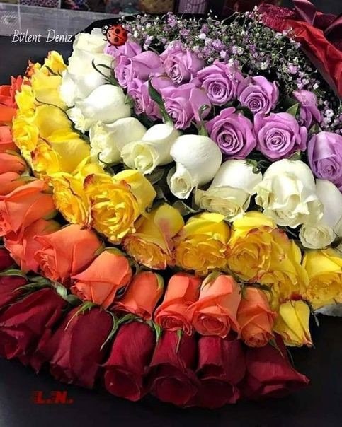 bri_ihm's tweet photo. الأمل شعور نقي رائع يبعث ف ارواحنا احساس طمأنينة بإن الحياة رغم متاعبها جميلة وتستحق العيش بهدوء وأبتسامة رضا وقناعة بإن الغد أجمل بإذن الله .. 🌸 https://t.co/SxaK6luzWi