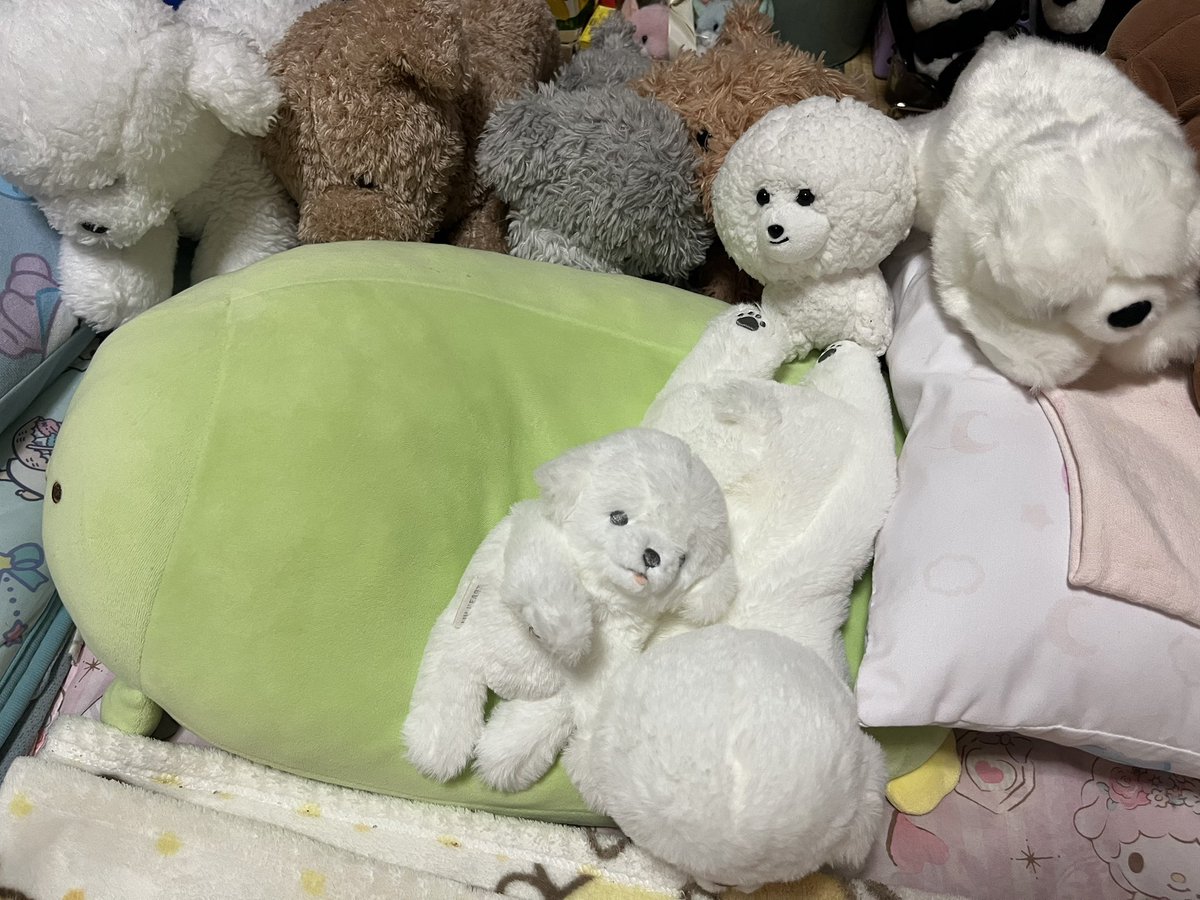 7d_nnmi's tweet photo. だって今目の前の景色がこれwwwww https://t.co/SWTlWQqfXS