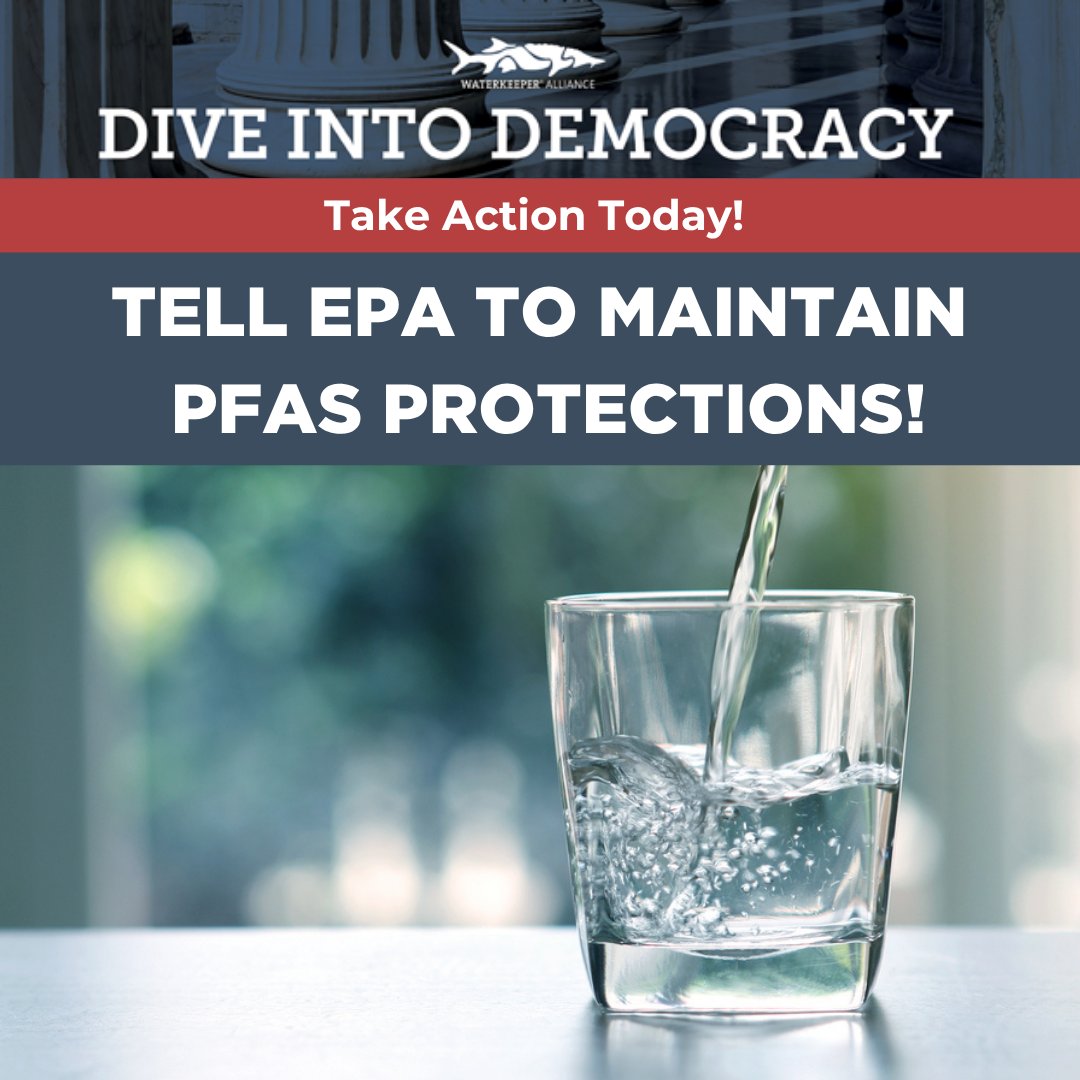 Waterkeeper's tweet photo. @EPA has proposed rolling back Safe Drinking Water Act regulations for four types of toxic PFAS ‘forever chemicals’ which are linked to serious health risks. Weakening these protections would remove federal requirements to keep these types of PFAS out of our water, and it’s not the only weakening of clean water protections EPA is planning.

Tell EPA: protect our drinking water, not polluters. Take action today: https://t.co/dIePGoCHll

#PFAS #ForeverChemicals #CleanWater #EnvironmentalJustice #PublicHealth