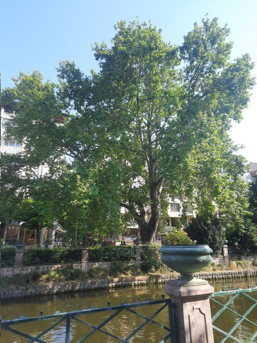 bberkeun's tweet photo. https://t.co/23Lnns9QYe