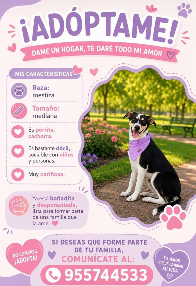 peravi's tweet photo. Compartir por favor https://t.co/807KI7xBti
