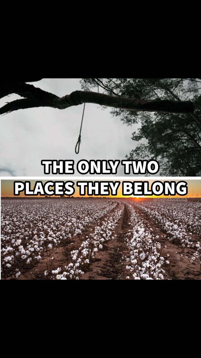 Mustangbryan420's tweet photo. @RMGardner @BlackDumpling Either eradicate them or put them back in Chains https://t.co/5blENwlMRt