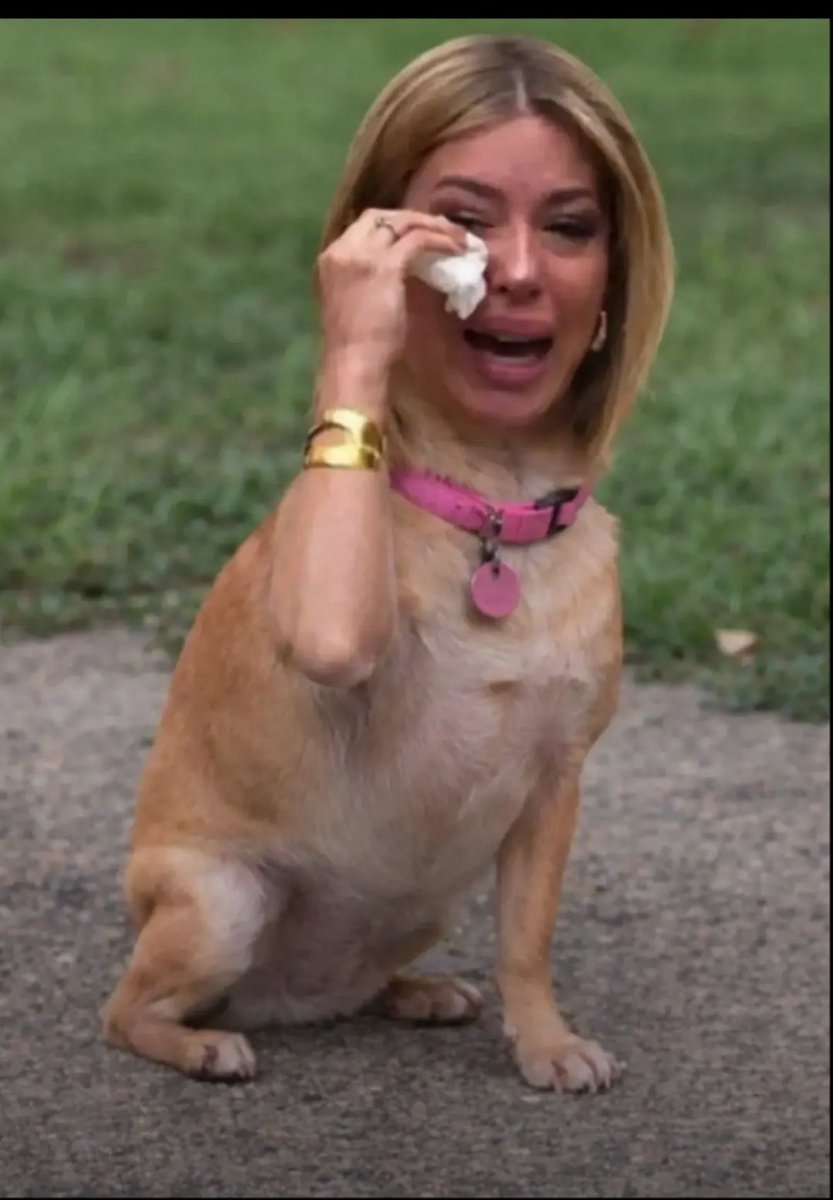 jasb_jb's tweet photo. @El_Maanuu Tu publicación hizo llorar otra vez a tu chihuahua y le recordaste como sufrió en la Casa sin que ella les haya nada a los guerreros porbrecita 😭😭😭😭jajaja ahora resulta que víctima la pinche enana https://t.co/2c9M159Xxo
