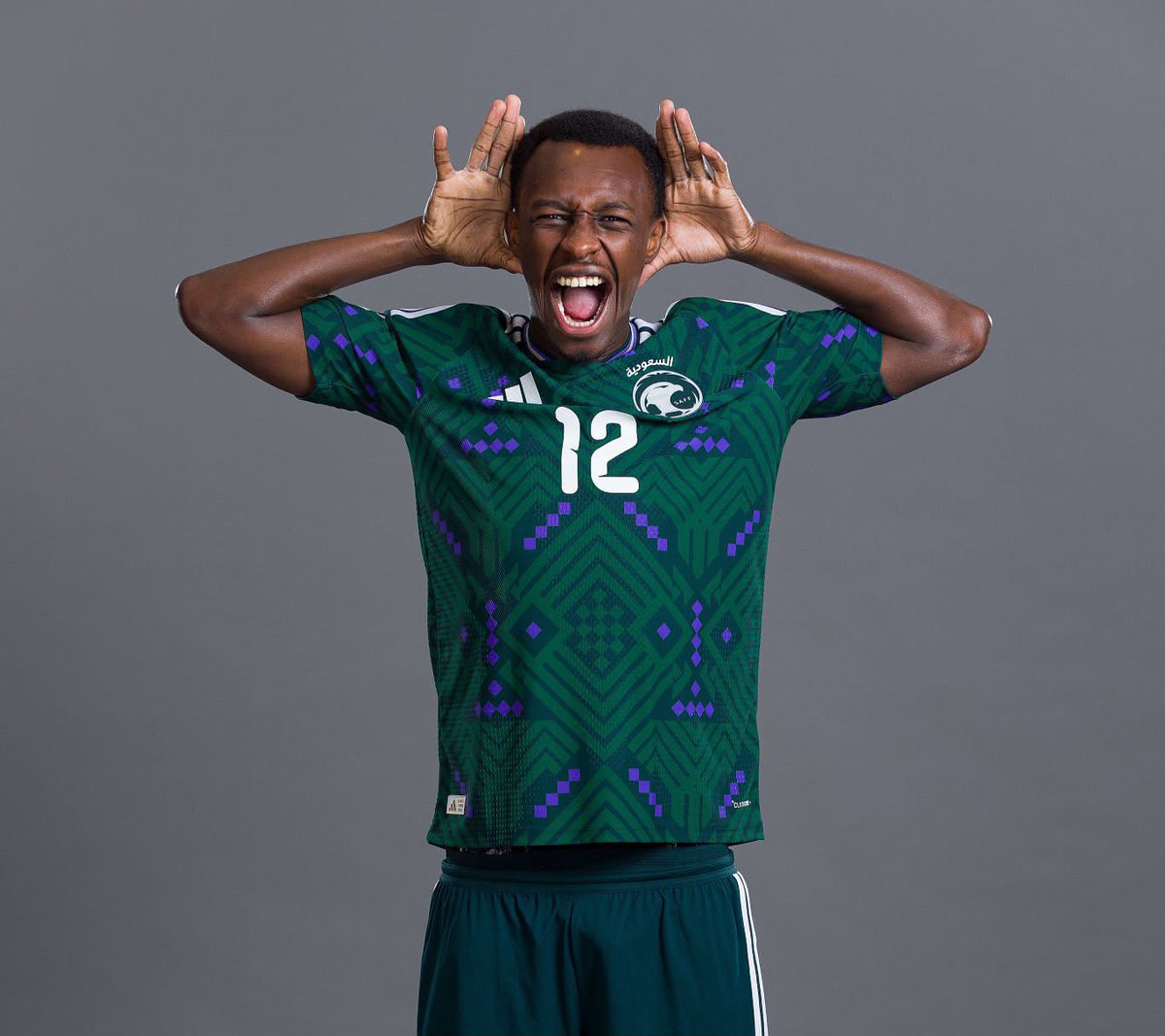 ActuSPL's tweet photo. L’ARABIE SAOUDITE 🇸🇦💚 https://t.co/sGBG4ClJWf