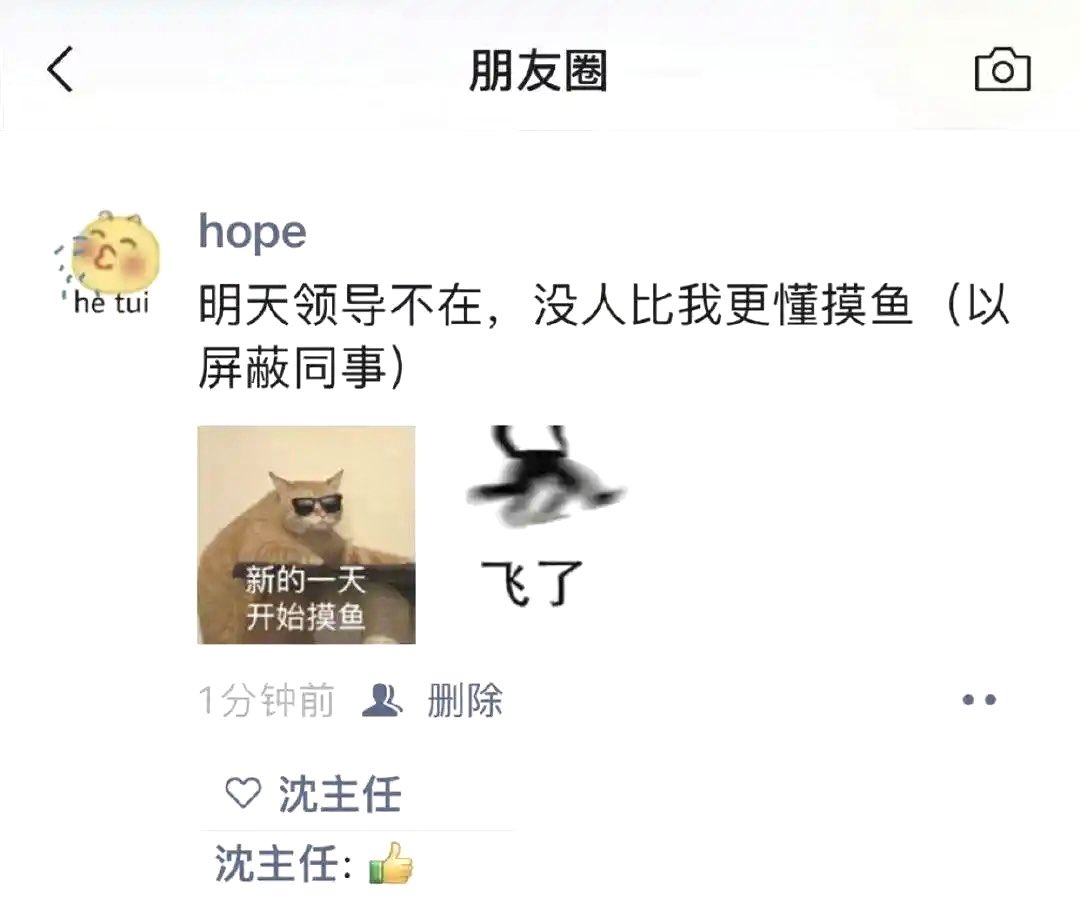 翅翅膀喵 tweet media