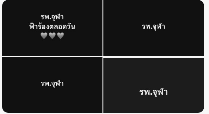 🎀🐰🌹🐻🐸🐶🐈⬛🐬 tweet media