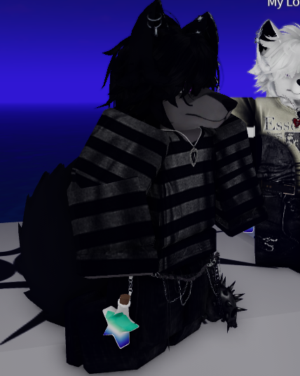 GalazySide's tweet photo. Stupid @Roblox  not letting me be gay!
but i still bought it. Fuck my homophobic country! https://t.co/xDOW8EmltP