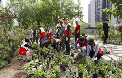 Russo20Claude's tweet photo. Come join our community garden day this Saturday 9am at Central Park! Plant veggies, meet neighbors, and take home free herb seeds. All skills welcome! #LocalCommunity， https://t.co/lZS3rf1ukW