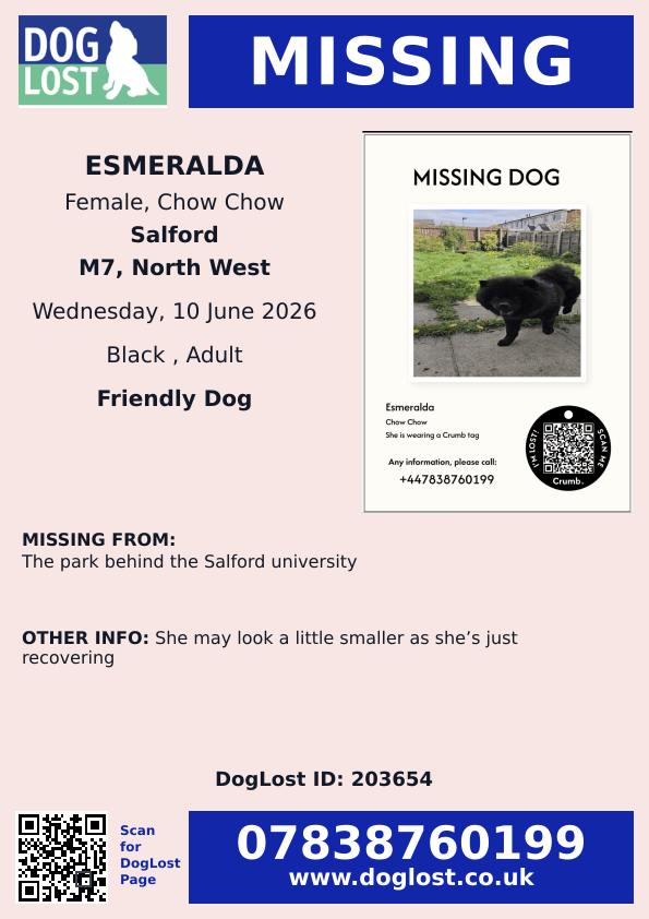 millypod1's tweet photo. 🆘10 JUNE 2026 #Lost Esmeralda #ScanMe
Chow Chow Female
The park behind The Salford University #M7
#Salford #GreaterManchester #Manchester
https://t.co/ViZoKdBWzD https://t.co/HQTnBo5xVD