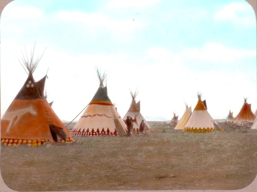 EchoesofWarYT's tweet photo. Blackfoot camp. Horse tipi on left, snake tipi, antelope, and winter tipis. Early 1900s. https://t.co/dUYpNntAbe