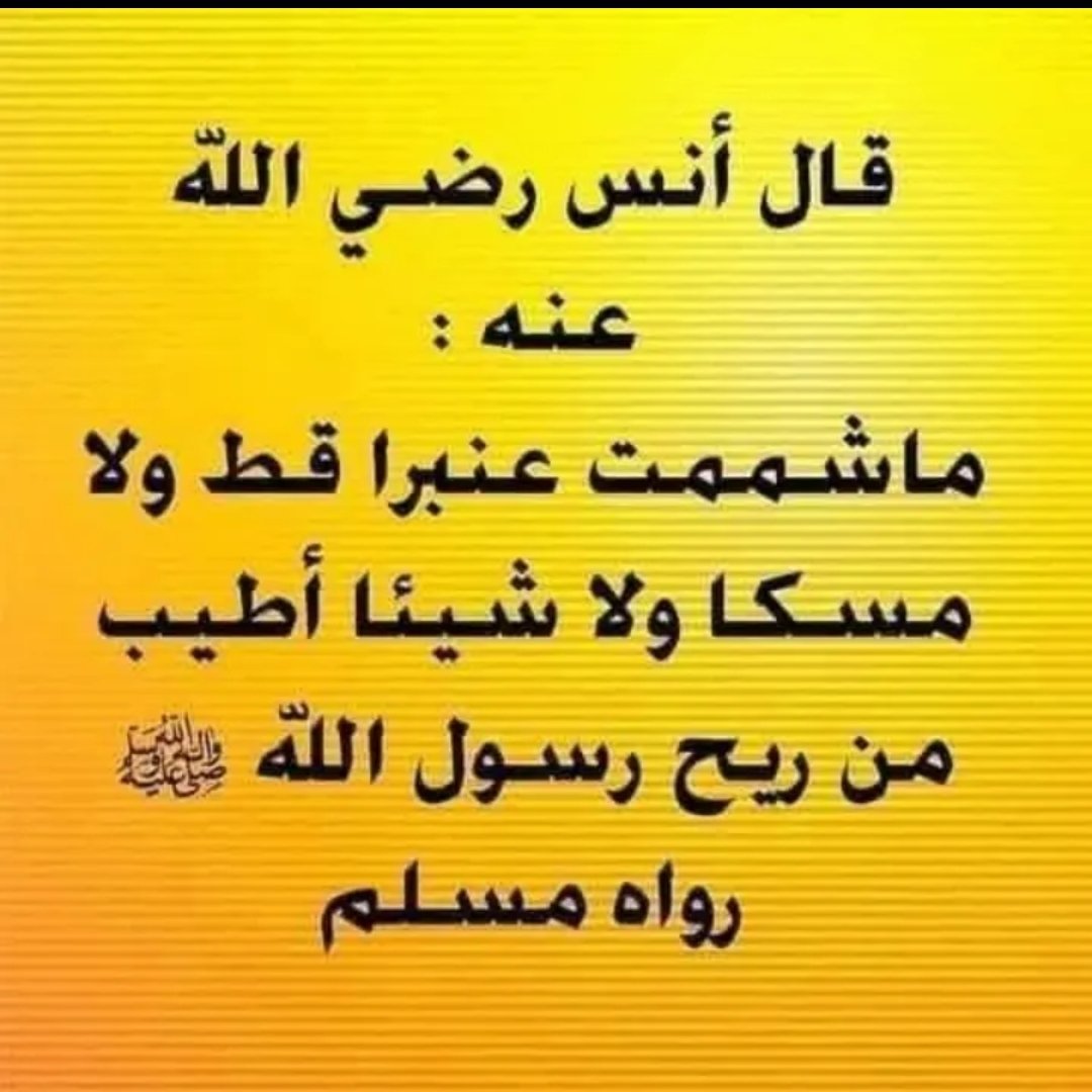 munthrtiti's tweet photo. ﷴﷺ🌺🌴🍃ﷴﷺ🍃🌴🌺
ﷴﷺ🌺🌴🍃ﷴﷺ🍃🌴🌺
ﷴﷺ🌺🌴🍃ﷴﷺ🍃🌴🌺
ﷴﷺ🌺🌴🍃ﷴﷺ🍃🌴🌺

#الصلاه_علي_النبي 
#صلوا_على_الحبيب_محمد_ﷺ 
#اللهم_صل_وسلم_على_نبينا_םבםבﷺ 
#يوم_الجمعة 
#صلوا_عليه_وسلموا_تسليما_ﷺ 
#صلوا_علي_سيدنا_محمد 
#شعورك_الان 
#أذكار_الصباح_والمساء https://t.co/yjs9junrJo