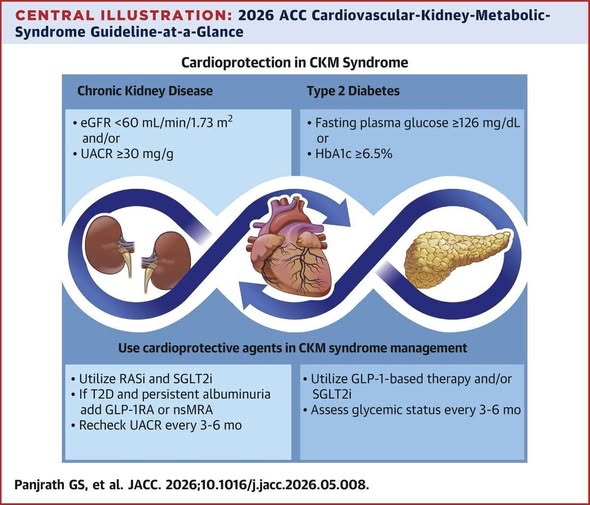 medicosergio's tweet photo. GUÍA ACC 2026 SÍNDROME CARDIO-RENO-METABÓLICO (CRM)
Puntos claves: 
🔴Estadificar el sd CRM
🔴Estimar riesgo CV con score PREVENT
🔴Evaluar regularmente factores de riesgo Sd CRM
🔴Tratamiento multidisciplinario
🔴Evaluar y tratar sobrepeso y obesidad
🔴En pac con diabetes⏩utilizar fármacos hipoglucemiantes cardioprotectivos (SGLT2i y GLP-1a)
🔴Utilizar TFG y RAC para estimar disfunción renal
🔴Estimar riesgo Sd CRM en pac con enfermerdad aterosclerótica y/o ins. cardíaca⏩optimizar tratamiento
https://t.co/5tleEfULmc
Vía: Dr. @gonzaeperez