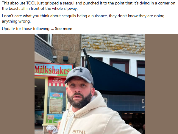 capellasable's tweet photo. @Fx1Jonny ...likes to murder seagulls...  #NAFO #Fellas anyone got spare time to let this tool know what we think about killing innocent animals https://t.co/4t1Lp9iwRk