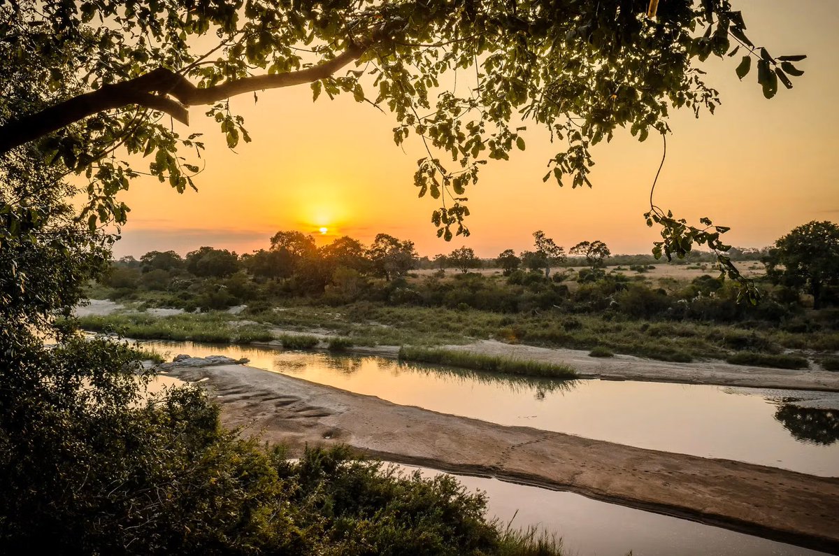TourismgAfrica's tweet photo. This luxurious Singita Lodge is located on the banks of the Sand River in South Africa’s Sabi Sand Game Reserve, offering access to 45,000 acres of pristine wilderness. Guests can enjoy close encounters with Africa’s iconic wildlife. https://t.co/vBGgJwB2TQ https://t.co/u8UH0mW9qh
