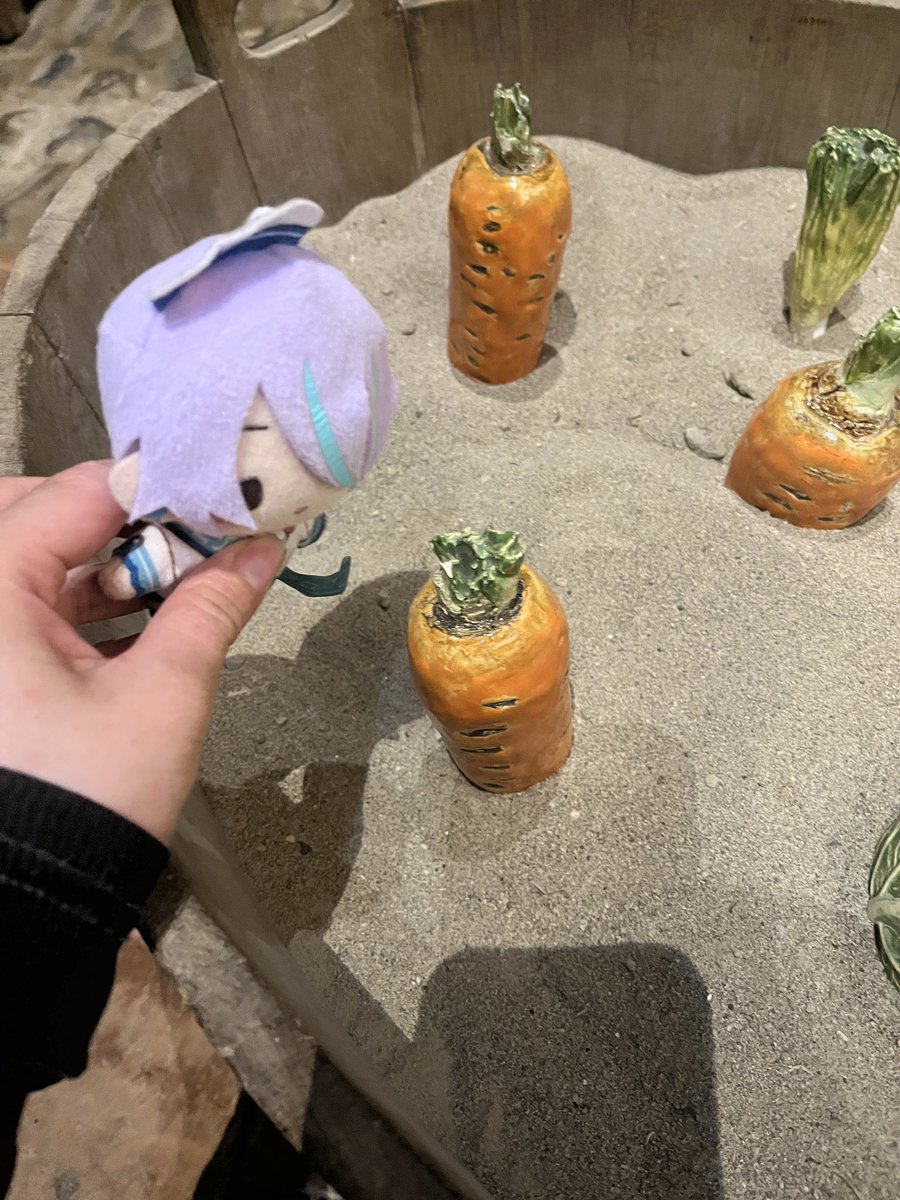 bIessing_chord's tweet photo. do you think he likes carrots https://t.co/nrtZDwnSrm