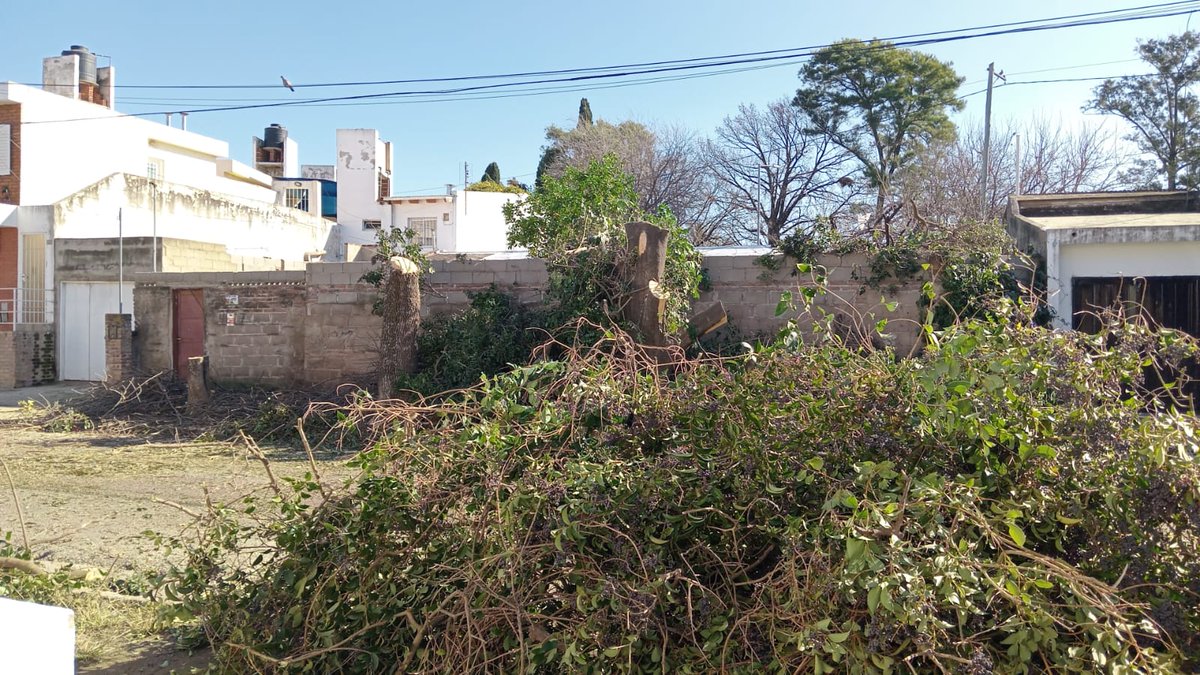 marushrod's tweet photo. @MuniCba @PasseriniOk estas fotos q les envío son de hoy supuestamente Epec o la municipalidad en barrio liceo destruyó 2 árboles de más de 12 mts de alto para dejarlo así esto es PODAR??? https://t.co/CeQUetOoP1