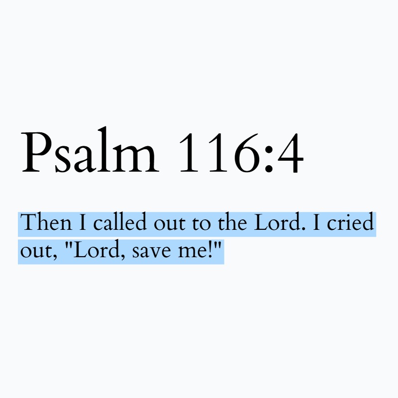 BibleVerses's tweet photo. https://t.co/zhetHhswP5