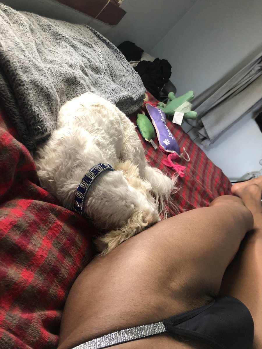 dashun76's tweet photo. Should’ve names him Romeo(Merlin George)😋❣️ https://t.co/6AHcI40NNH