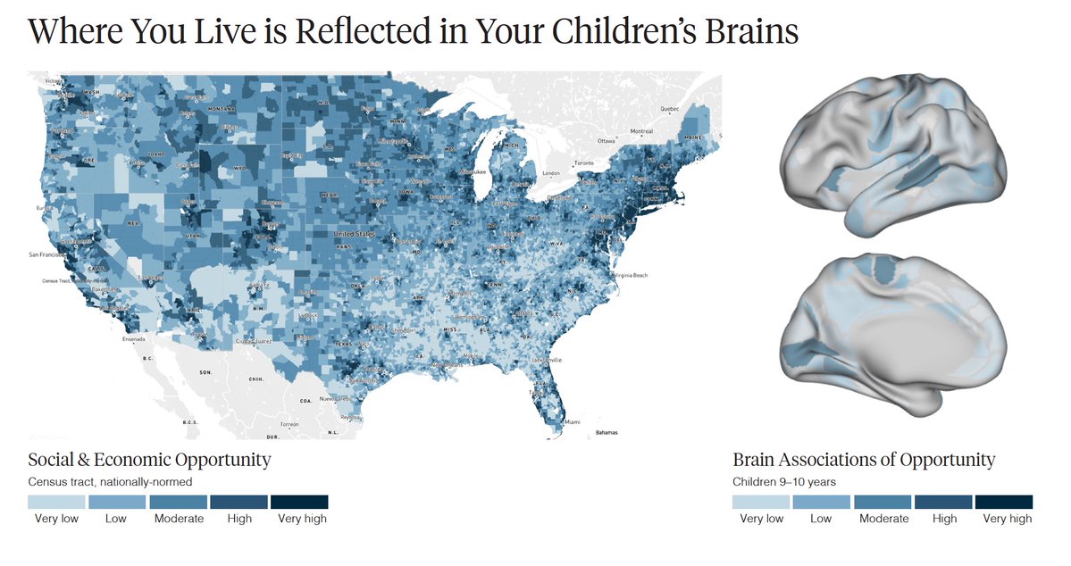 smarek0502's tweet photo. SES dominates childhood brain organization. Zip code matters most.

These findings have consumed my mind daily, with Darwin’s quote living rent free in my head: “if the misery of the poor not be caused by the laws of nature, but by our institutions, great be our sin.” https://t.co/vktmanRatH