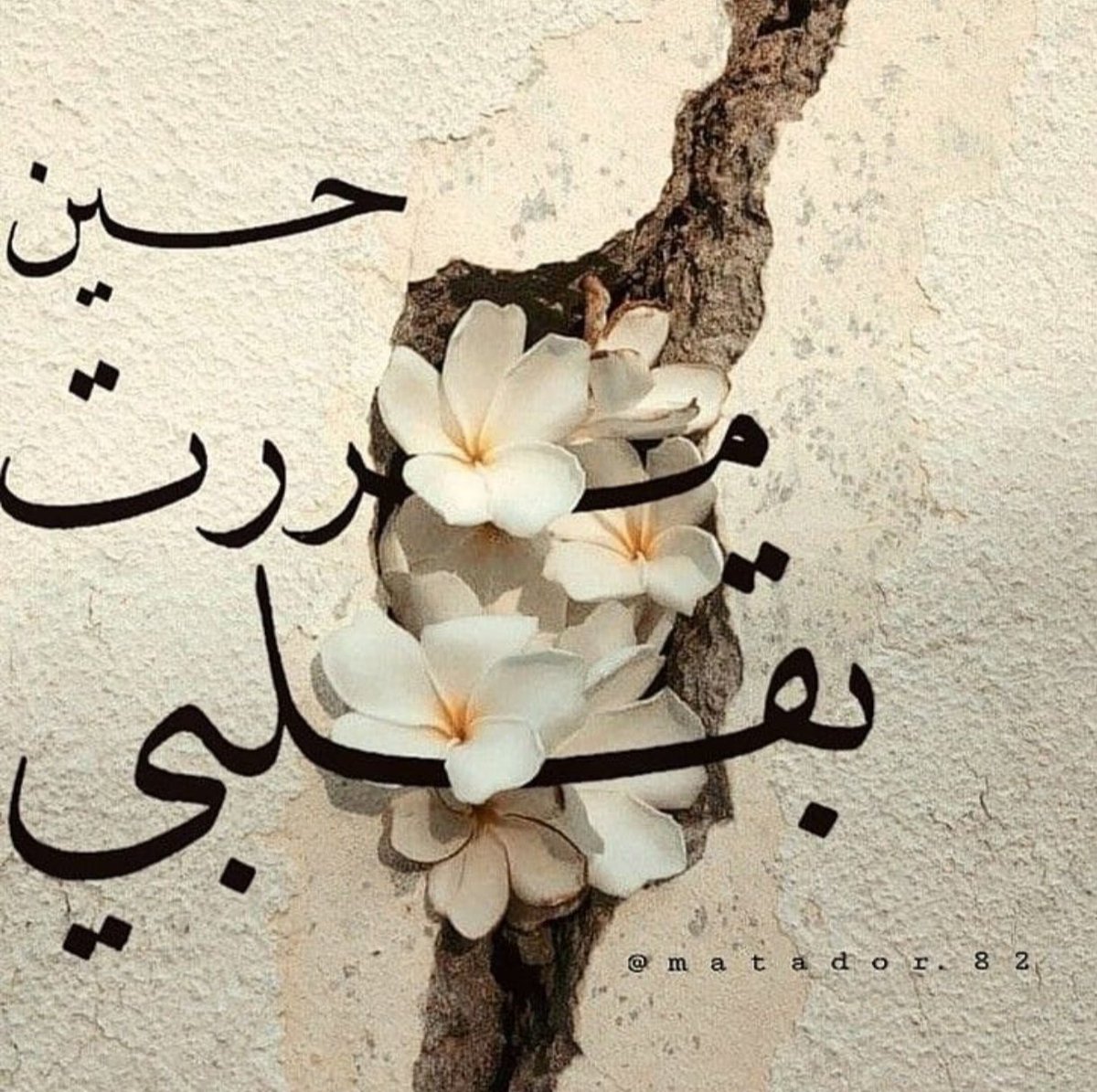 Tranem677's tweet photo. هكذا فعلت أنت  ..
حين مررت بقلبي  ♪❤︎
                                  𝓣𝓻𝓪𝓷𝓮𝓶 https://t.co/3hE2qDwG0i