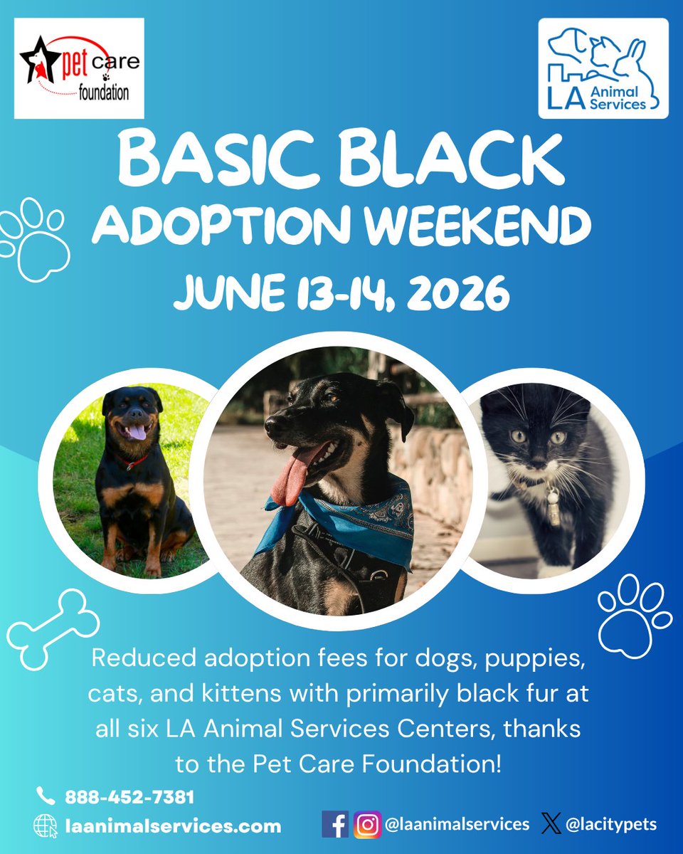 LACityPets's tweet photo. Join us this weekend for the Basic Black Adoption Weekend! 🐾 We're offering reduced adoption fees for dogs, puppies, cats, and kittens with primarily black fur at all six LA Animal Services Centers, thanks to the Pet Care Foundation! #LACityPets #Adopt #Foster #LosAngeles https://t.co/rUQlDiqhRr
