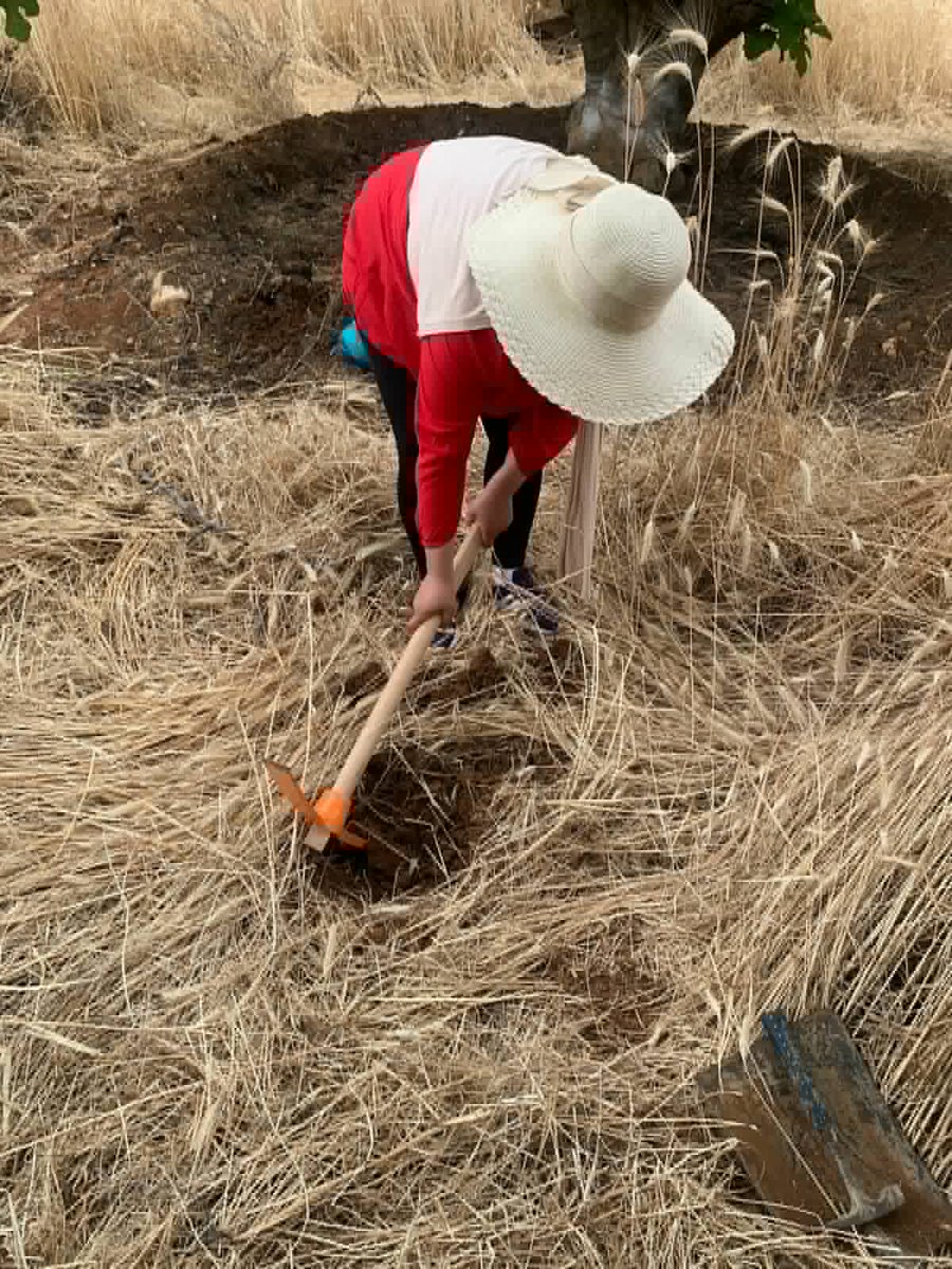 AgrofigPrima's tweet photo. 🌿🇹🇳 As part of the AGROFIG Project, field visits were recently carried out in Tunisia to monitor the spring cover crops established within the fig agroforestry trials. https://t.co/TNnK3jxNVP
