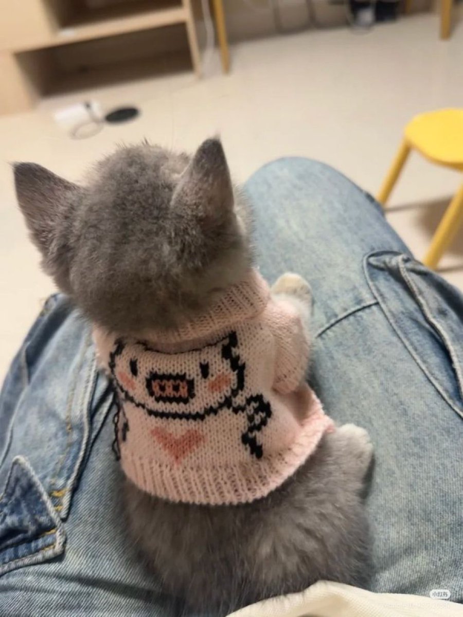 cutedreamvibes's tweet photo. https://t.co/pLY1pjeOod