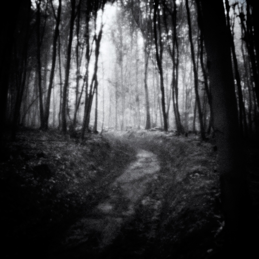artlimitednet's tweet photo. Untitled by Ivan Spirko https://t.co/3Dw54S0Sgk
#mood #bnwphotos #pinholephoto #pinhole #master_shots #bw_society #blackandwhitephoto #nature #blackandwhite #monochrome #bwsquare #forest #pinholephotography #photography #landscape #tree #ourplanetdaily #discoverearth #mountains… https://t.co/SqnFGRVi56