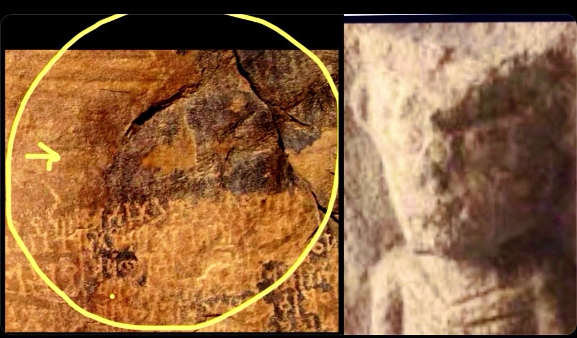 BCEsupernova's tweet photo. The archons faked it all. 
There’s only one way out. 
The Gnostic Truth. 
#HowManyMustIFind https://t.co/hagT2JY6Gn