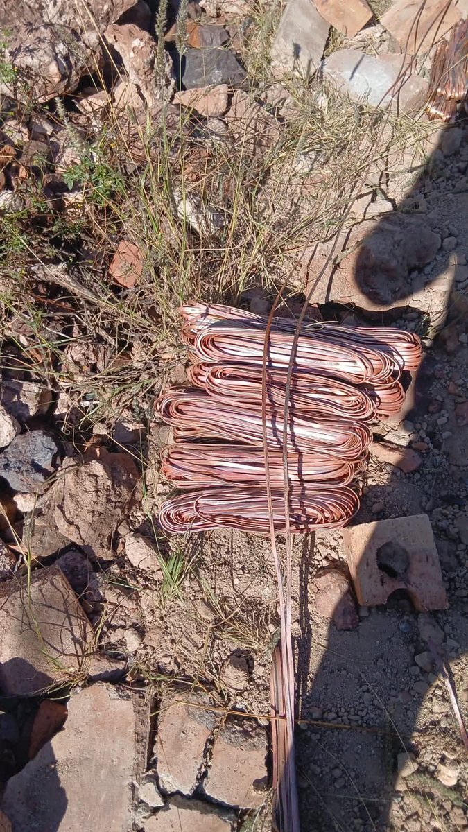 ZANewsFlash's tweet photo. NEWS: A foreign national was arrested while burning stolen Cooper at Boichoko near Postmasburg in the Northern Cape.
Five of his suspected accomplices fled on foot, and a manhunt is underway to nab them - KZN Tonight Podcast 
📸 SAPS NC https://t.co/hPjHGJO5oa