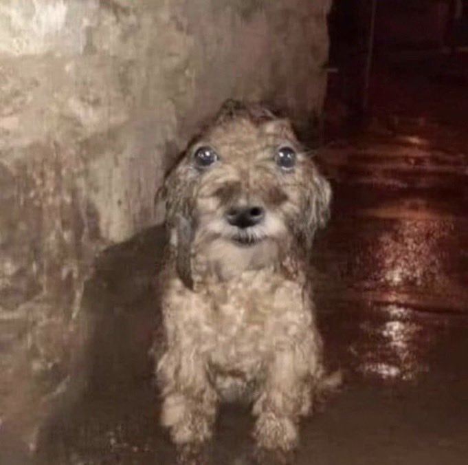 sctissues's tweet photo. meu deus eu n aguento mais estar na tpm todo dia eu passo pelo vale da sombra da morte de mil jeitos diferentes https://t.co/8pxl9UFllN