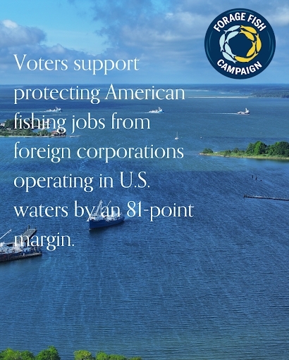 forage fish campaign tweet media