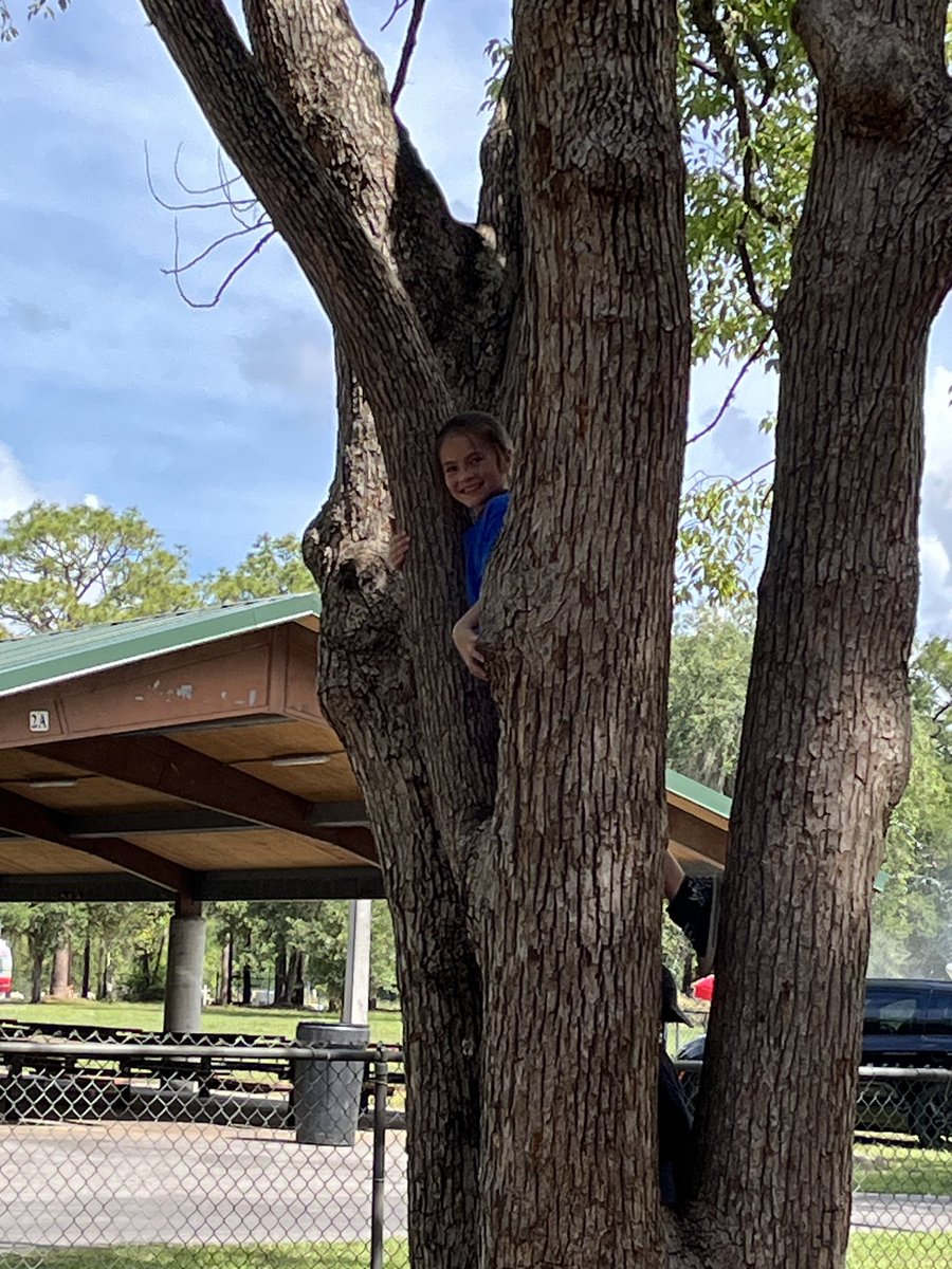 MrsSJones326's tweet photo. #waldorfeducation is different in so many ways, but also exactly what I needed. Read all about it in the first photo. Year 15 is going to be so great! My kids are going to have the BEST year!

https://t.co/ubiEUUWwLf

#5thgrade 
#science
#waldorf
#clearthelist https://t.co/eKAJFwxYIj