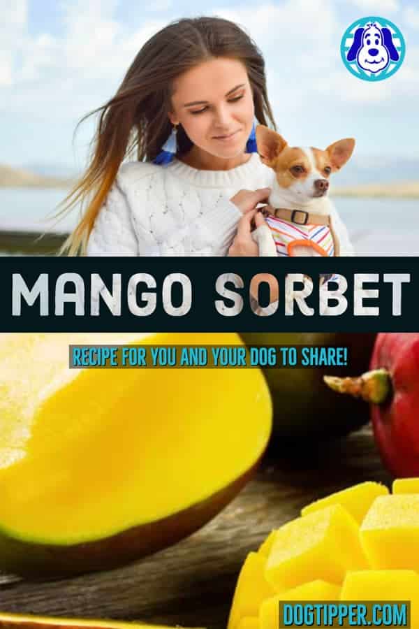 DogTipper tweet picture