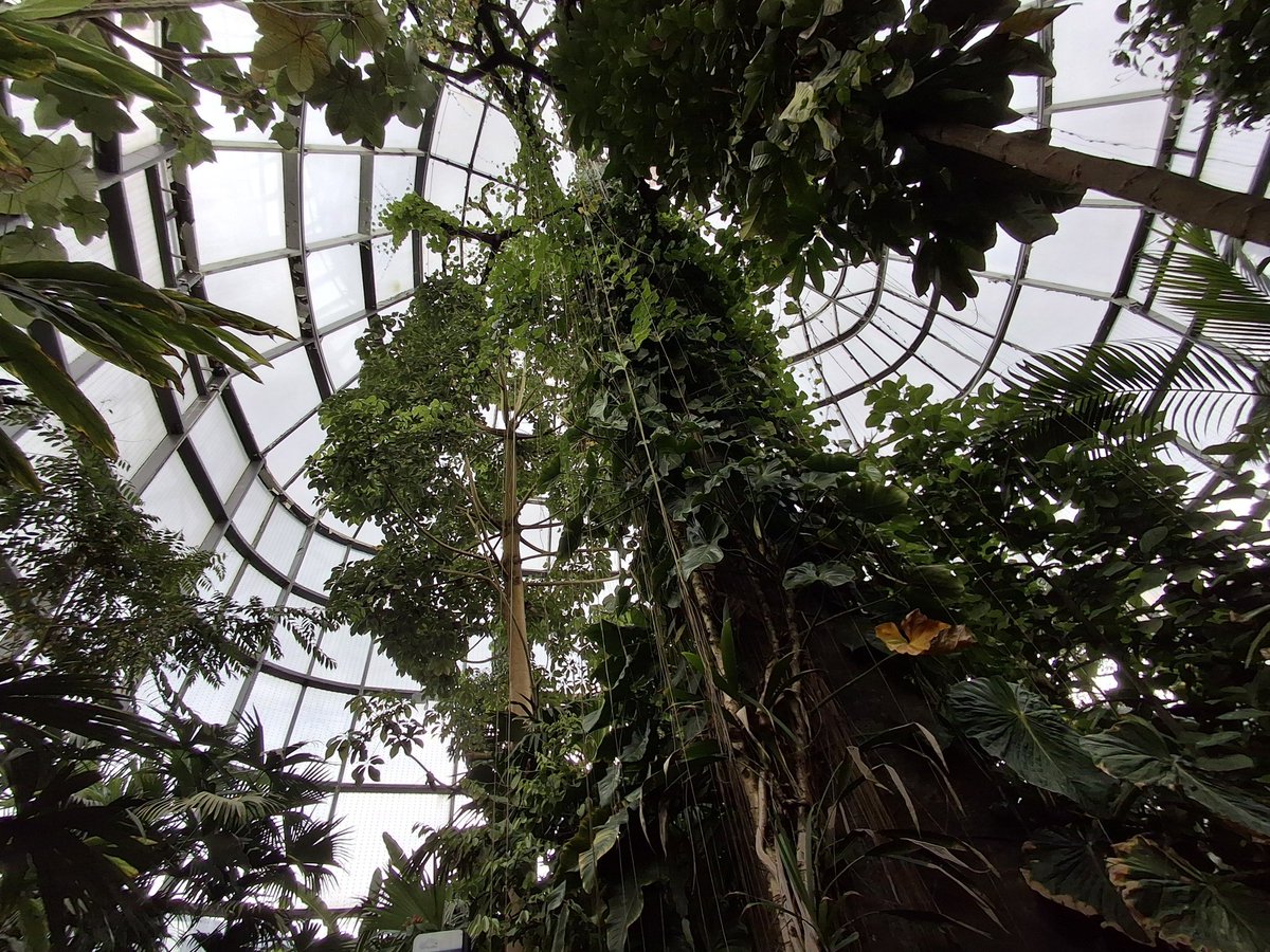 Leinercast's tweet photo. 🌳 https://t.co/CUyAH2BgiM