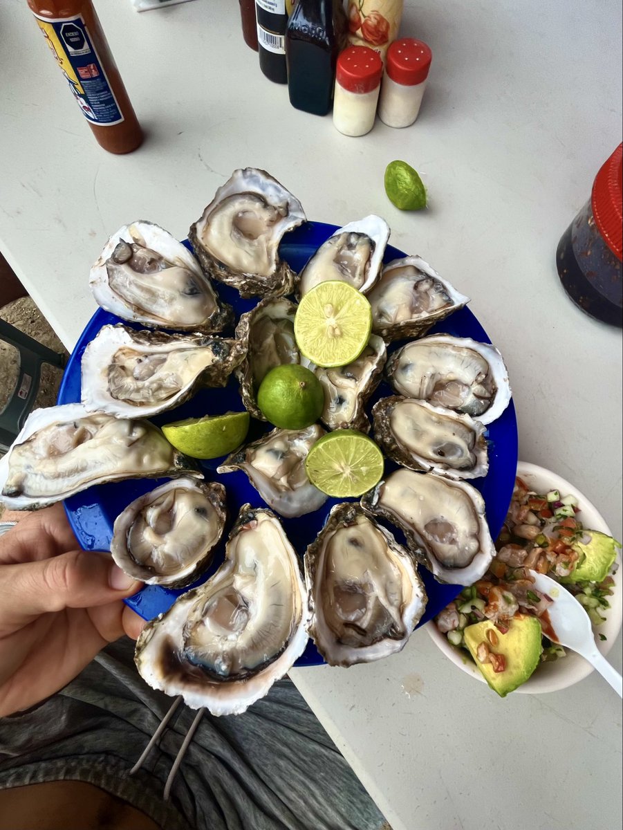 NoahRyanCo's tweet photo. It’s best to think about health decisions in terms of tradeoffs. 

I eat oysters at the expense of added microplastic burden 

I eat fresh fish at the expense of heavy metal contamination 

I get sun at the expense of UV induced photodamage 

I train hard at the expense of CNS burden 

When you know the expense, you know how to cut your losses. You can extract the utility of the tool without the burden of overdoing it. There is no objectively good or bad intervention. Only acquiring something at the expense of another.