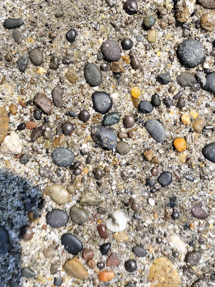 これ何だろう？ お台場海浜公園の砂に1〜5ミリくらいのまん丸の石
