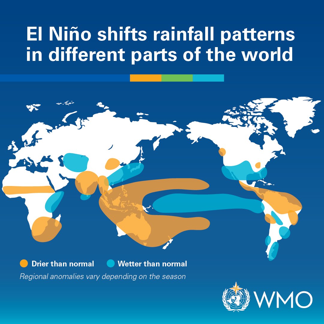 sayantanbera's tweet photo. The Little Boy is here. El Nino has set in, officially.
63% chance of a very-strong El Nino, as per the latest forecast from NOAA  (https://t.co/v8v1xIMpx8)
So, what does a 'super' El Nino mean for India?
Laying out the risks in this @livemint Long Story
Key takeaways:
1. A strong El Nino persisting through March next year means the summer of 2027 could get very very hot and dry (see latest NOAA chart). Drinking water shortages in pockets is a strong possibility.
2. There is no perfect correlation between the strength of El Nino and the quantum of monsoon rainfall deficit- only in 3 out of 6 strong El Nino years since 1951, did the Indian monsoon record a deficit of 10% or more (see chart1)- so all is not bleak yet
4. Distribution of monsoon rainfall will be critical for Kharif crops- but resilience of Indian agriculture to deficit rains has improved greatly over the past few decades (see chart2)- but be ready to pay more for vegetables, cooking oils etc
5. Keep a close watch on Indian Ocean Dipole, currently in a neutral state, which can offset some of the negative impacts of a very strong El Nino
6. As a senior scientist said: El Nino is like a terrific fast bowler. But much will depend on the pitch it bowls on. 
So, fingers crossed!
Read more: https://t.co/cEP61n4PfC