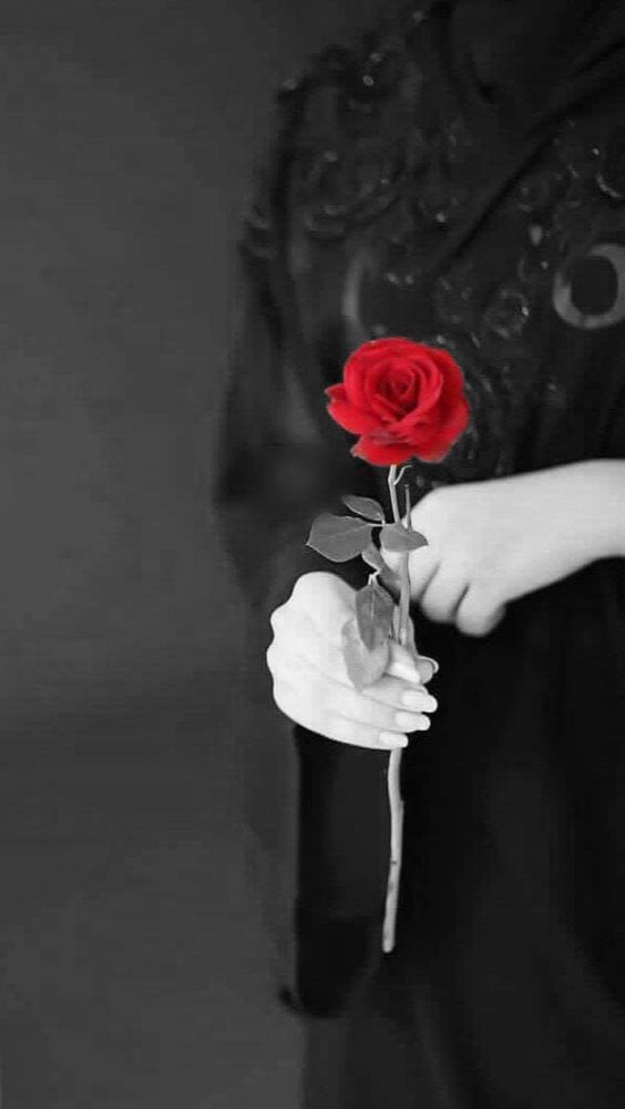 nashmih_karakih's tweet photo. "صَلُّوا على الهادي البشيرِ وأبْشِرُوا
قد فازَ منْ صلّى عليهِ وأكثرَ"ﷺ.🩷🦋))''_

#جمعة_مباركة 🌿🤍 https://t.co/BuZo4s2R0x