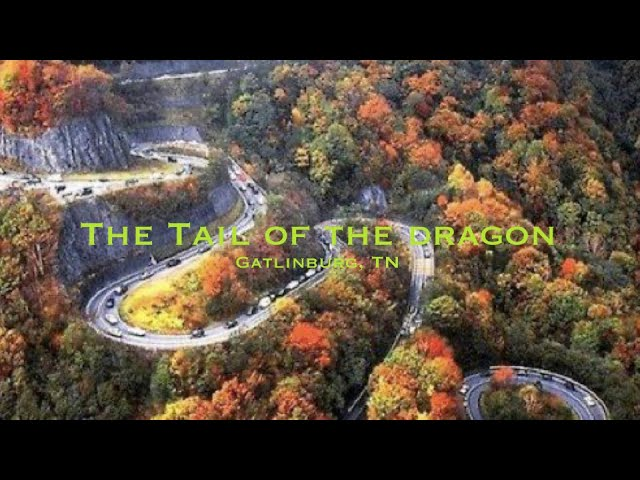 Static19XRP's tweet photo. @fiago7 Do  you ride motorcycles?  You can rent a bike from riders-share dot com.
New Hampshire is great, or head South to NC/TN border and hit the Tail of the Dragon. https://t.co/ODDtOs7Cfe