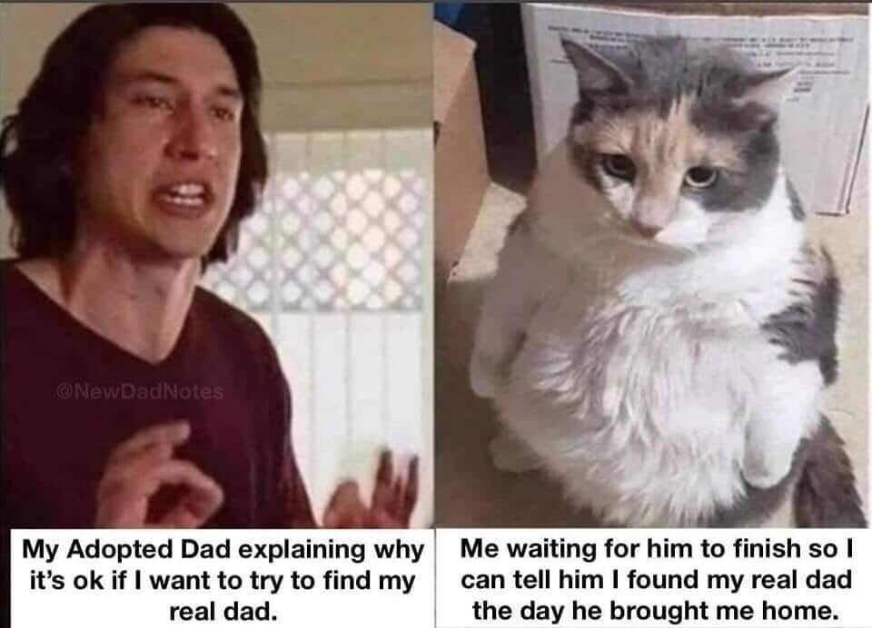 WholesomeMeme's tweet photo. https://t.co/ruHLyHqK15