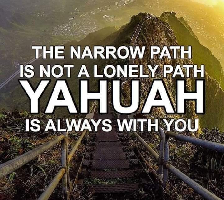 ThundersSeven's tweet photo. @AdonaiOnGaia Not lonely at all https://t.co/XVxk82dkRz