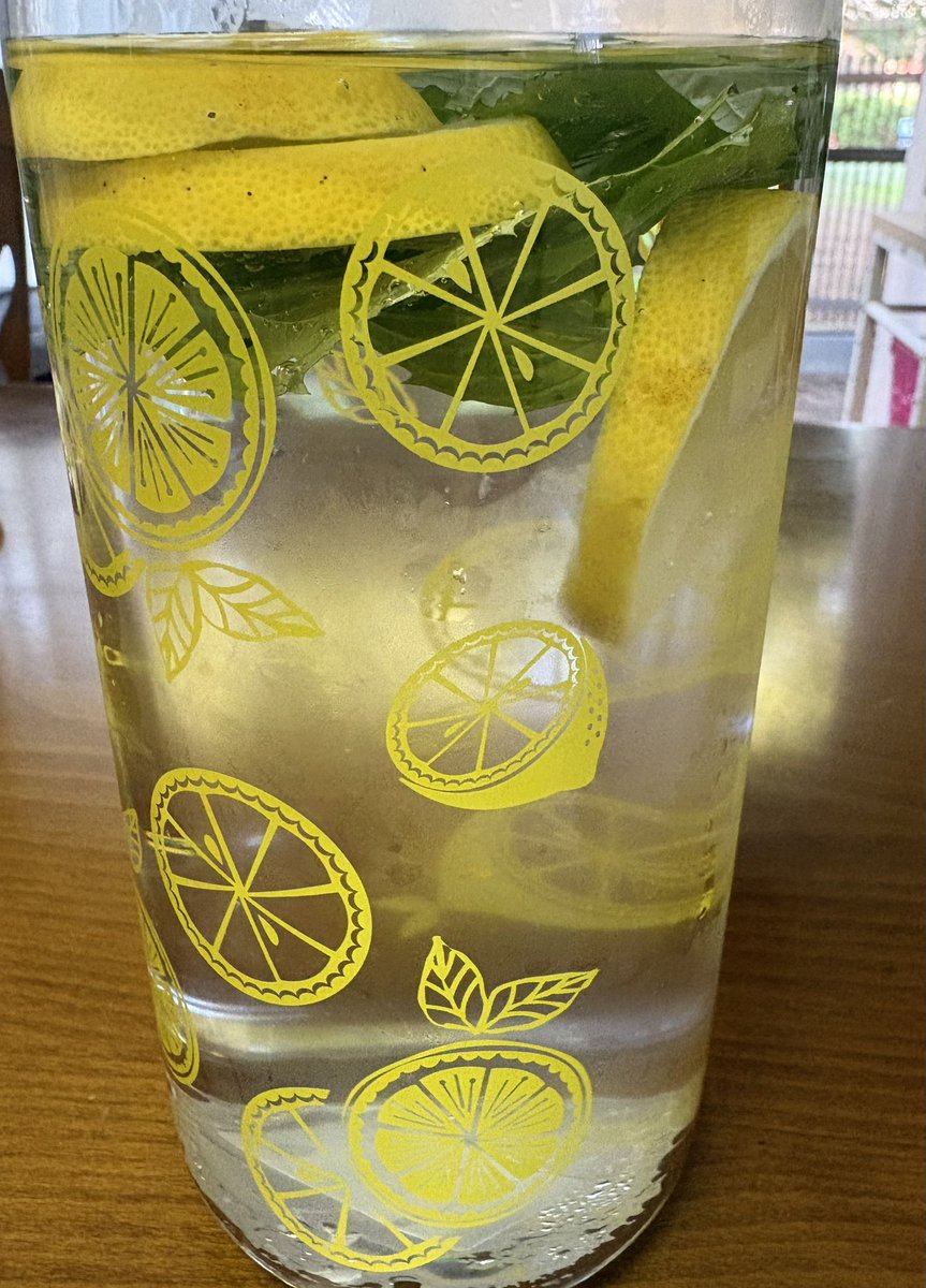 4510marche's tweet photo. 朝イチに飲む水が大事で、レモン水はビタミンCやクエン酸なども摂れると朝ごはんの本に書かれてたので作ってみた😊一晩寝かせることで、皮からじんわり香りが移るのだそう。庭で育ててるミントも加えて♫なかなか美味しい😋#企業公式相互フォロー https://t.co/TAVV3XU1jO