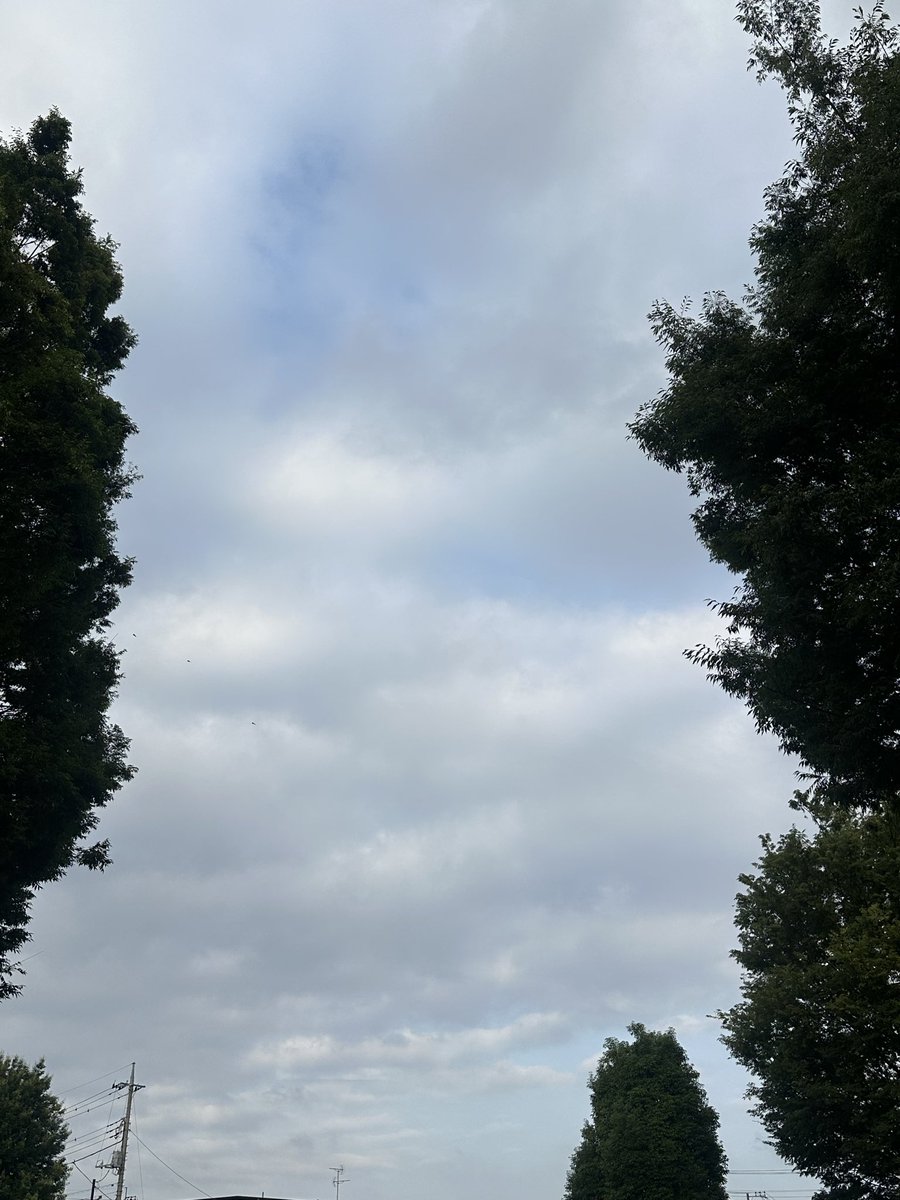 110ennn's tweet photo. おはようございます。6.12 よろしくお願いします。
#イマソラ　#キリトリセカイ https://t.co/0ppJTaEFkb