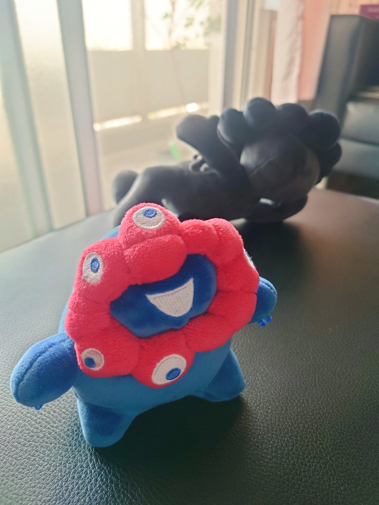 50katagatsurai's tweet photo. おはようおはよう❤💙朝は爽やかでいいねぇ〜😄💕今日は早く帰ってね！😊

もたもた家主のあとをついてくるもっちり❤💙 https://t.co/yXWWiuZTbt