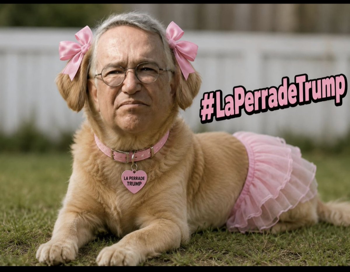 kompi1570's tweet photo. De hoy en adelante al delincuente y corrupto de dientes de burro @RicardoBSalinas se le conoce como #LaPerraDeTrump !!!! https://t.co/uCiMPSAKso