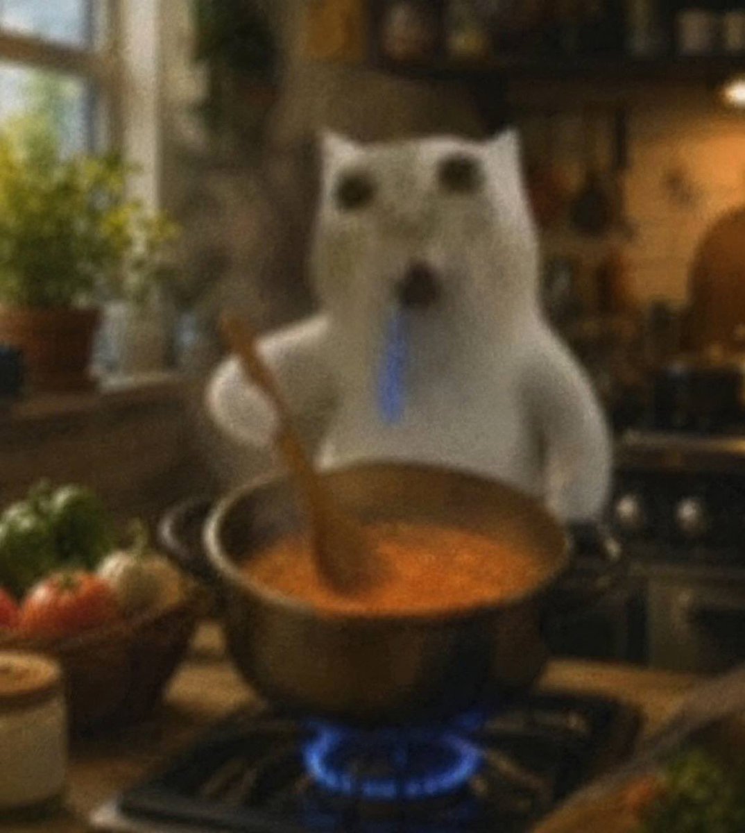 Portego069's tweet photo. We cooking 🤤

$drooling https://t.co/VsFZOhDbTL