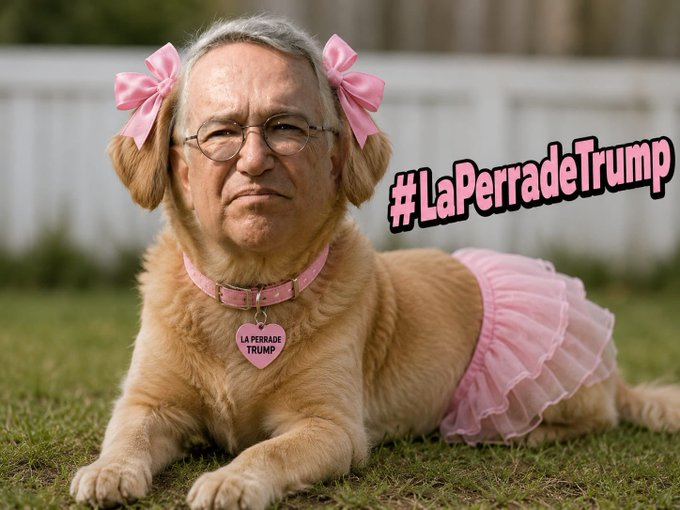 J4feT_25's tweet photo. Se pasan 🤣 https://t.co/NjFFiEMlQb